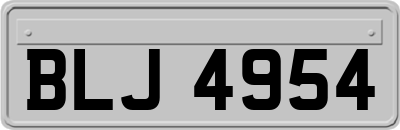 BLJ4954