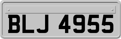 BLJ4955