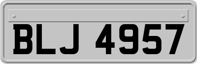 BLJ4957