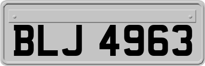 BLJ4963