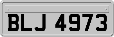 BLJ4973