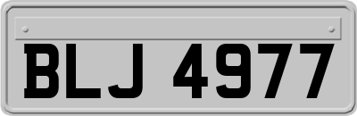 BLJ4977