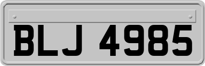 BLJ4985