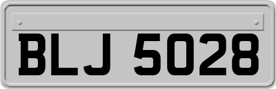 BLJ5028