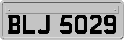 BLJ5029