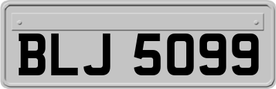 BLJ5099