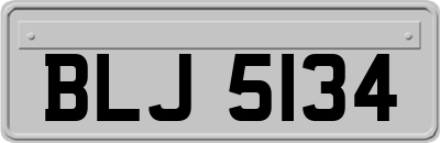 BLJ5134