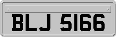 BLJ5166