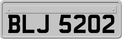 BLJ5202