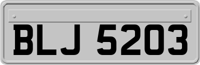 BLJ5203