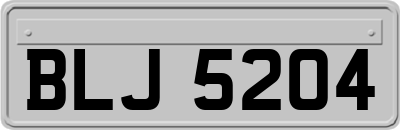 BLJ5204