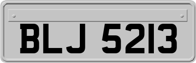 BLJ5213