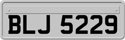 BLJ5229
