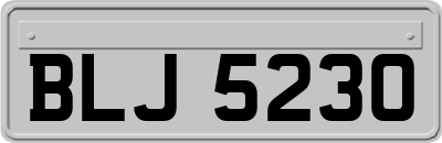 BLJ5230