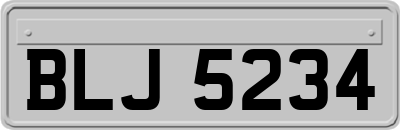 BLJ5234