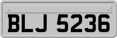 BLJ5236