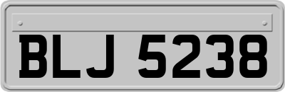 BLJ5238