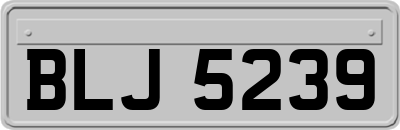 BLJ5239