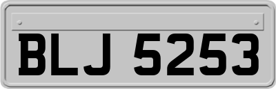 BLJ5253