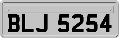 BLJ5254