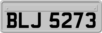 BLJ5273