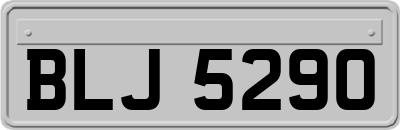 BLJ5290