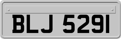 BLJ5291