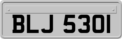 BLJ5301