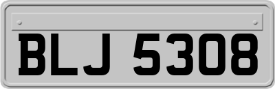 BLJ5308