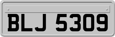 BLJ5309