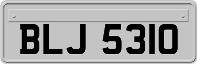 BLJ5310