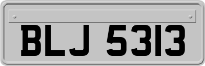 BLJ5313