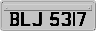 BLJ5317