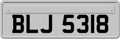 BLJ5318