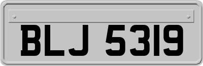 BLJ5319