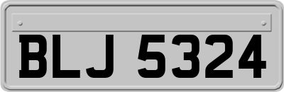 BLJ5324