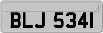 BLJ5341