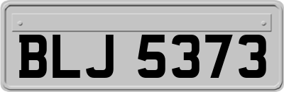 BLJ5373