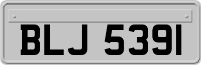 BLJ5391