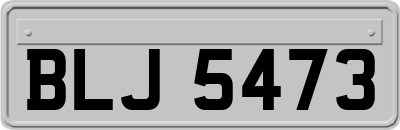 BLJ5473