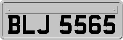 BLJ5565