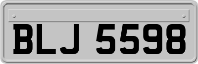 BLJ5598