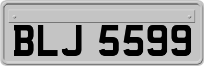 BLJ5599