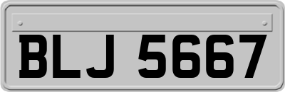BLJ5667