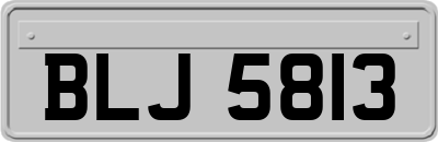 BLJ5813