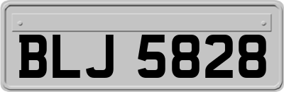 BLJ5828