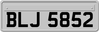BLJ5852