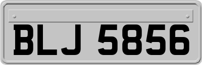 BLJ5856