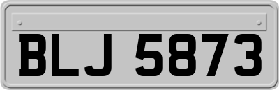 BLJ5873