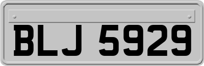 BLJ5929